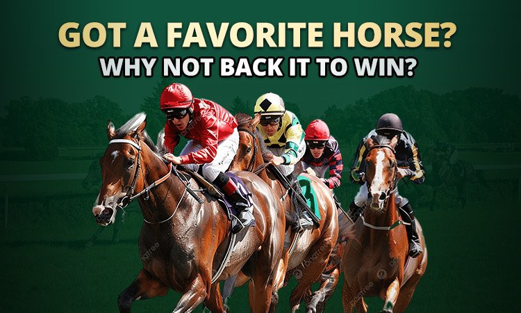 horse racing betting - betvision88