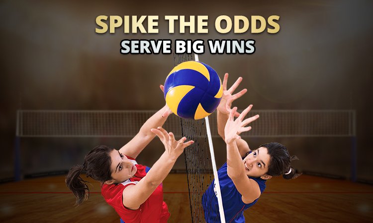 volleyball betting - betvision888