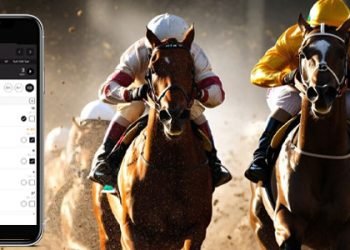 3-Cracking-the-Code-Exploring-Horse-Racing-Bet-Types