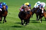 Cracking The Code_ Exploring Horse Racing Bet Types